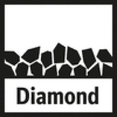 Сабельное полотно Metabo Diamont Expert Cast Iron Premium 200 мм, 2 шт