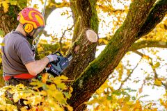 Акумуляторна ланцюгова пилка Metabo MS 18 LTX BL 25 каркас